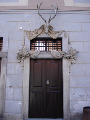 DSC00704