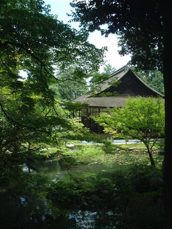 DSCF0065