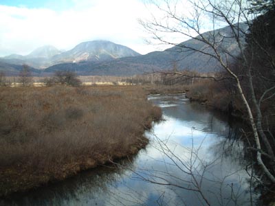 26NearNikko61