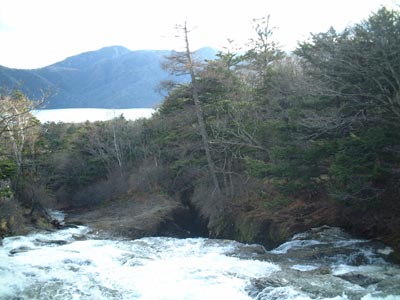 31NearNikko70
