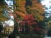 20AutumnColour34